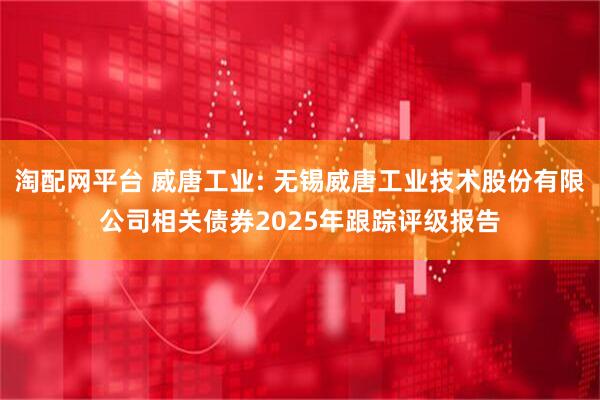 淘配网平台 威唐工业: 无锡威唐工业技术股份有限公司相关债券2025年跟踪评级报告