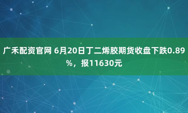 广禾配资官网 6月20日丁二烯胶期货收盘下跌0.89%,报11630元