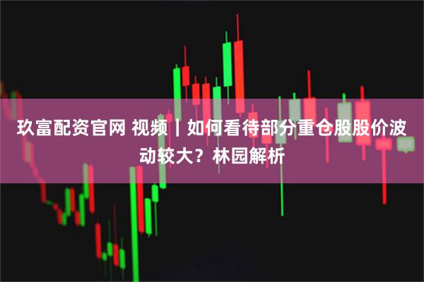 玖富配资官网 视频｜如何看待部分重仓股股价波动较大？林园解析