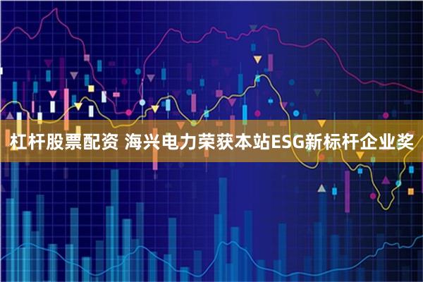 杠杆股票配资 海兴电力荣获本站ESG新标杆企业奖